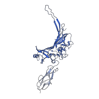 14869_7zqb_E_v1-1
Tail tip of siphophage T5 : full structure