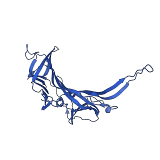 14869_7zqb_I_v1-1
Tail tip of siphophage T5 : full structure