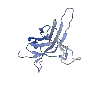 14869_7zqb_J_v1-1
Tail tip of siphophage T5 : full structure