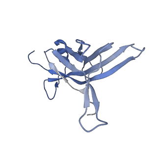 14869_7zqb_K_v1-1
Tail tip of siphophage T5 : full structure