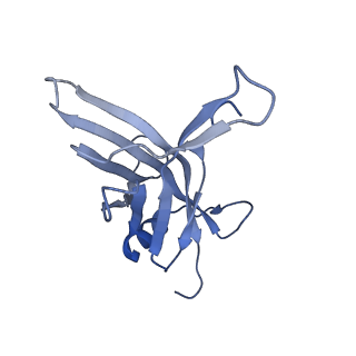 14869_7zqb_S_v1-1
Tail tip of siphophage T5 : full structure