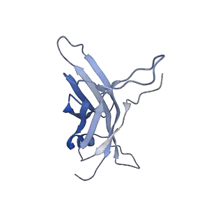 14869_7zqb_T_v1-1
Tail tip of siphophage T5 : full structure