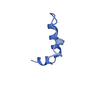 14869_7zqb_f_v1-1
Tail tip of siphophage T5 : full structure