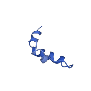 14869_7zqb_g_v1-1
Tail tip of siphophage T5 : full structure