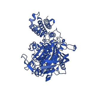 14874_7zqs_B_v1-0
Cryo-EM Structure of Human Transferrin Receptor 1 bound to DNA Aptamer