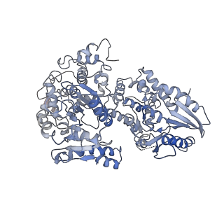 6940_5zqz_A_v1-2
Structure of human mitochondrial trifunctional protein, tetramer