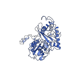 6940_5zqz_B_v1-2
Structure of human mitochondrial trifunctional protein, tetramer