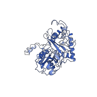 6940_5zqz_B_v1-3
Structure of human mitochondrial trifunctional protein, tetramer