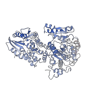 6940_5zqz_C_v1-2
Structure of human mitochondrial trifunctional protein, tetramer
