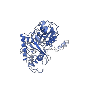 6940_5zqz_D_v1-2
Structure of human mitochondrial trifunctional protein, tetramer
