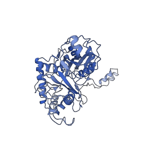 6940_5zqz_D_v1-3
Structure of human mitochondrial trifunctional protein, tetramer