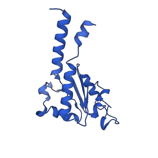 11377_6zr2_B_v1-1
Cryo-EM structure of respiratory complex I in the active state from Mus musculus at 3.1 A