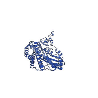 11377_6zr2_D_v1-1
Cryo-EM structure of respiratory complex I in the active state from Mus musculus at 3.1 A