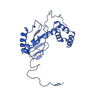 11377_6zr2_E_v1-1
Cryo-EM structure of respiratory complex I in the active state from Mus musculus at 3.1 A