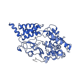 11377_6zr2_F_v1-1
Cryo-EM structure of respiratory complex I in the active state from Mus musculus at 3.1 A