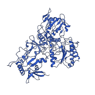 11377_6zr2_G_v1-1
Cryo-EM structure of respiratory complex I in the active state from Mus musculus at 3.1 A