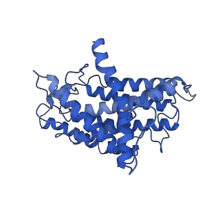 11377_6zr2_H_v1-1
Cryo-EM structure of respiratory complex I in the active state from Mus musculus at 3.1 A