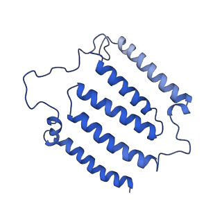11377_6zr2_J_v1-1
Cryo-EM structure of respiratory complex I in the active state from Mus musculus at 3.1 A