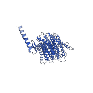 11377_6zr2_L_v1-1
Cryo-EM structure of respiratory complex I in the active state from Mus musculus at 3.1 A