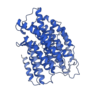 11377_6zr2_M_v1-1
Cryo-EM structure of respiratory complex I in the active state from Mus musculus at 3.1 A