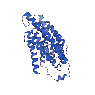 11377_6zr2_N_v1-1
Cryo-EM structure of respiratory complex I in the active state from Mus musculus at 3.1 A