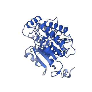 11377_6zr2_P_v1-1
Cryo-EM structure of respiratory complex I in the active state from Mus musculus at 3.1 A