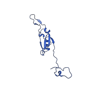 11377_6zr2_Q_v1-1
Cryo-EM structure of respiratory complex I in the active state from Mus musculus at 3.1 A