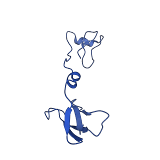11377_6zr2_R_v1-1
Cryo-EM structure of respiratory complex I in the active state from Mus musculus at 3.1 A
