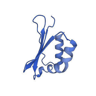 11377_6zr2_S_v1-1
Cryo-EM structure of respiratory complex I in the active state from Mus musculus at 3.1 A