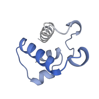 11377_6zr2_T_v1-1
Cryo-EM structure of respiratory complex I in the active state from Mus musculus at 3.1 A