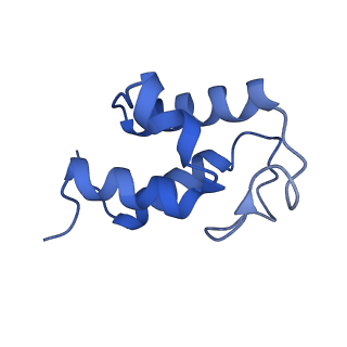 11377_6zr2_U_v1-1
Cryo-EM structure of respiratory complex I in the active state from Mus musculus at 3.1 A