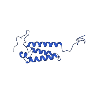 11377_6zr2_V_v1-1
Cryo-EM structure of respiratory complex I in the active state from Mus musculus at 3.1 A
