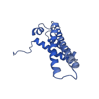 11377_6zr2_Y_v1-1
Cryo-EM structure of respiratory complex I in the active state from Mus musculus at 3.1 A