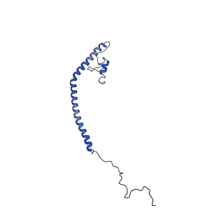 11377_6zr2_Z_v1-1
Cryo-EM structure of respiratory complex I in the active state from Mus musculus at 3.1 A