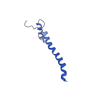 11377_6zr2_a_v1-1
Cryo-EM structure of respiratory complex I in the active state from Mus musculus at 3.1 A