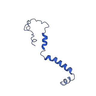 11377_6zr2_b_v1-1
Cryo-EM structure of respiratory complex I in the active state from Mus musculus at 3.1 A