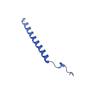 11377_6zr2_c_v1-1
Cryo-EM structure of respiratory complex I in the active state from Mus musculus at 3.1 A