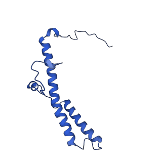 11377_6zr2_d_v1-1
Cryo-EM structure of respiratory complex I in the active state from Mus musculus at 3.1 A