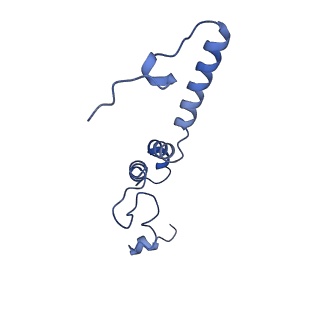 11377_6zr2_e_v1-1
Cryo-EM structure of respiratory complex I in the active state from Mus musculus at 3.1 A