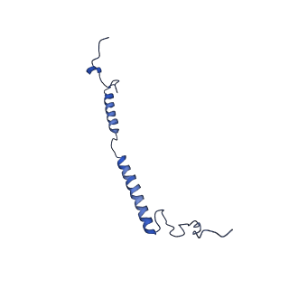 11377_6zr2_g_v1-1
Cryo-EM structure of respiratory complex I in the active state from Mus musculus at 3.1 A