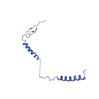 11377_6zr2_i_v1-1
Cryo-EM structure of respiratory complex I in the active state from Mus musculus at 3.1 A