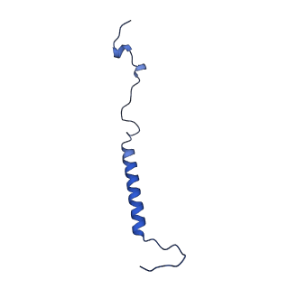 11377_6zr2_j_v1-1
Cryo-EM structure of respiratory complex I in the active state from Mus musculus at 3.1 A