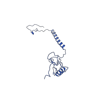 11377_6zr2_l_v1-1
Cryo-EM structure of respiratory complex I in the active state from Mus musculus at 3.1 A