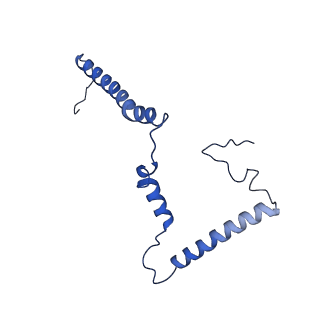 11377_6zr2_m_v1-1
Cryo-EM structure of respiratory complex I in the active state from Mus musculus at 3.1 A