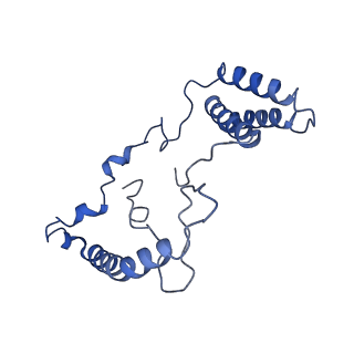 11377_6zr2_n_v1-1
Cryo-EM structure of respiratory complex I in the active state from Mus musculus at 3.1 A