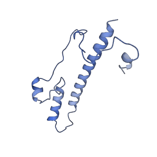 11377_6zr2_o_v1-1
Cryo-EM structure of respiratory complex I in the active state from Mus musculus at 3.1 A