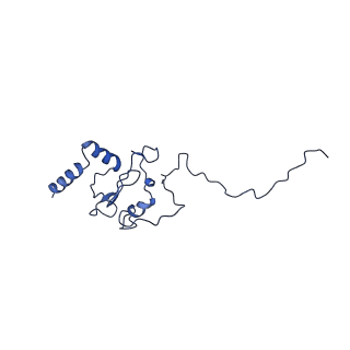 11377_6zr2_q_v1-1
Cryo-EM structure of respiratory complex I in the active state from Mus musculus at 3.1 A