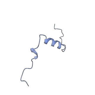 11377_6zr2_s_v1-1
Cryo-EM structure of respiratory complex I in the active state from Mus musculus at 3.1 A