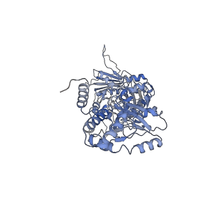 14875_7zr0_A_v1-1
CryoEM structure of HSP90-CDC37-BRAF(V600E) complex.