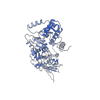 14875_7zr0_B_v1-1
CryoEM structure of HSP90-CDC37-BRAF(V600E) complex.
